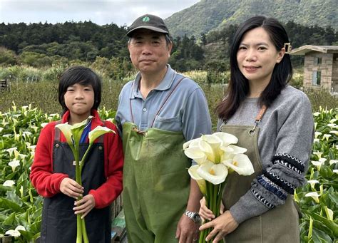 財福|財福海芋田 